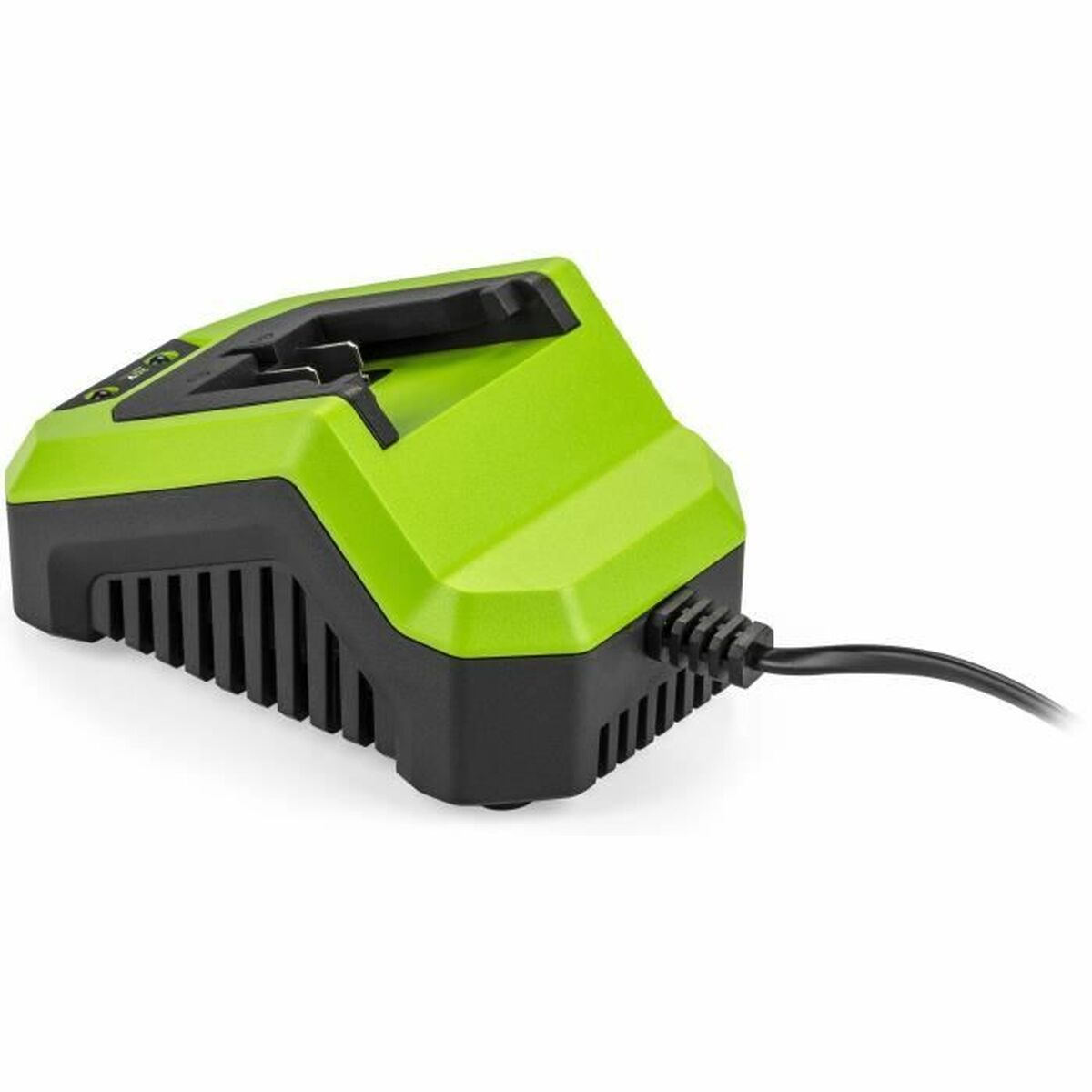 Battery charger Fieldmann-1